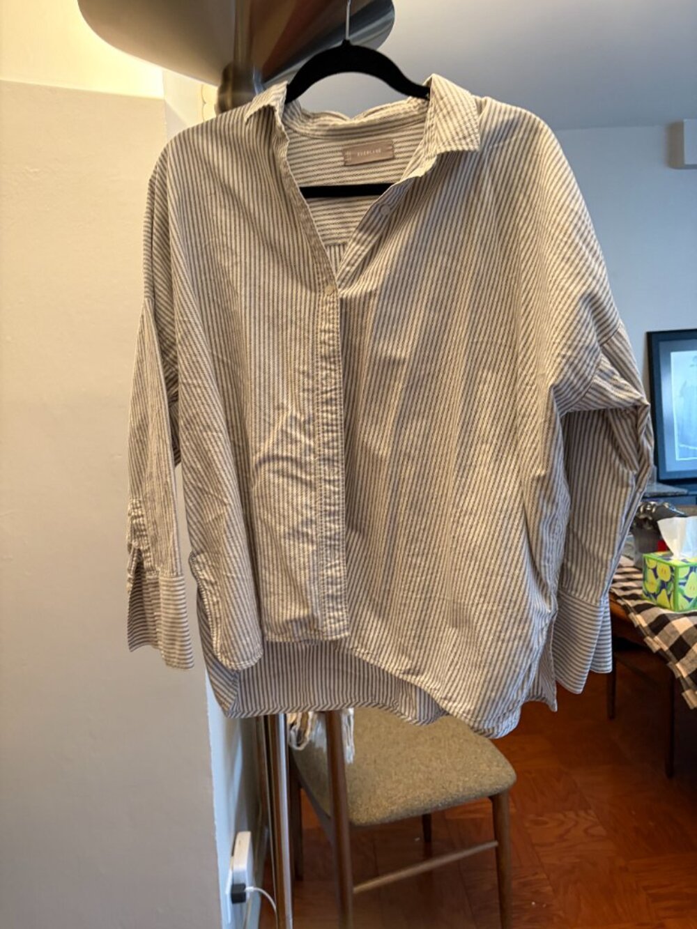 Everlane Oxford Shirt